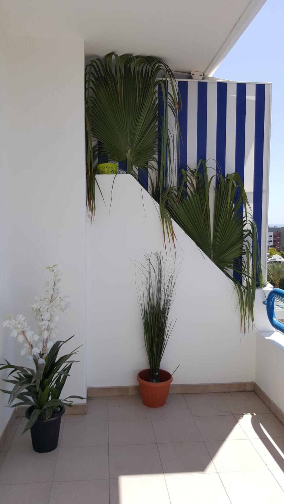 Paraiso Del Sur Playa Paraiso  Exterior foto